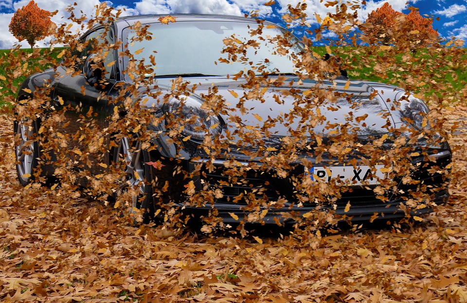 Máme rodinné auto.